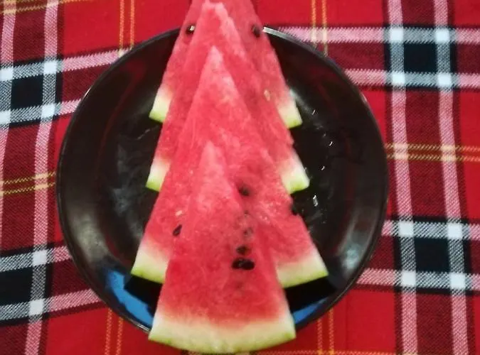 호텔 Complex Exotica 2*