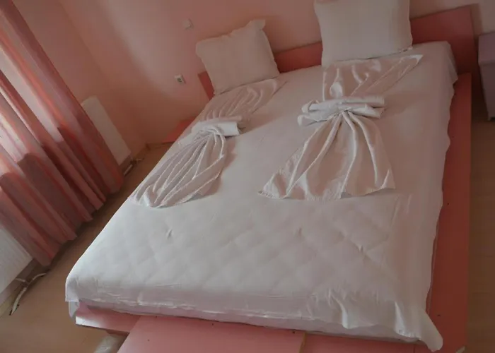 호텔 Complex Exotica 로제넷츠