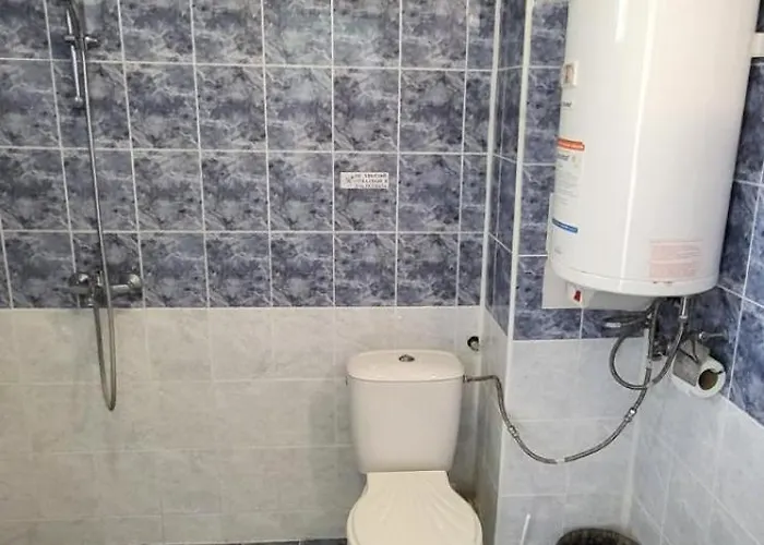 Complex Exotica 로제넷츠