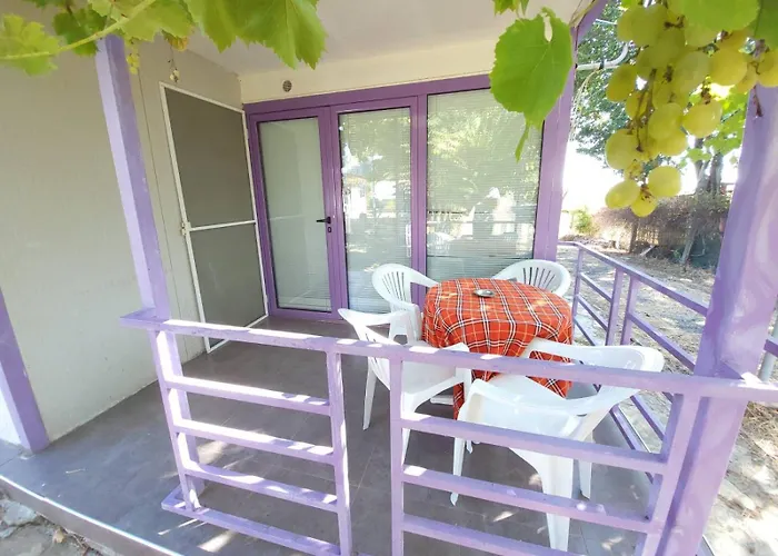 Complex Exotica 호텔 2*